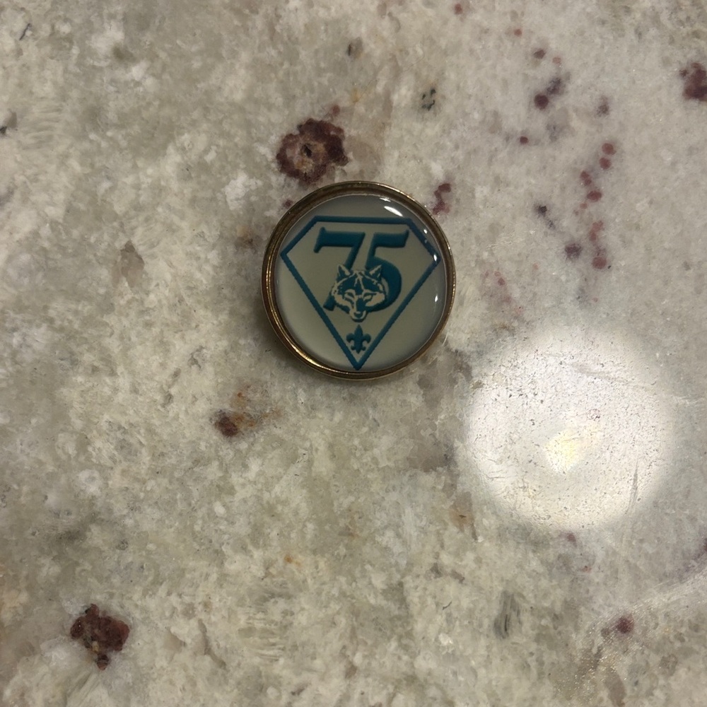 Cub Scouts 75th Anniversary Pin